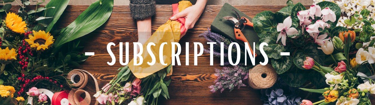Beautiful Seasonal Flowers Banner